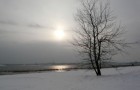Obszar "Machów-Piaseczno" - wyrobisko "Machów"