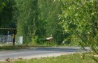 Obszar "Machów-Piaseczno" - wyrobisko "Machów"