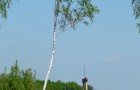 strzelanie